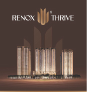 Projects Delivered on time